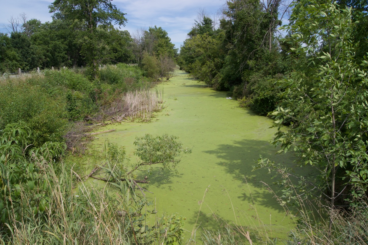 A feeder canal supplied water to Welland Canal system